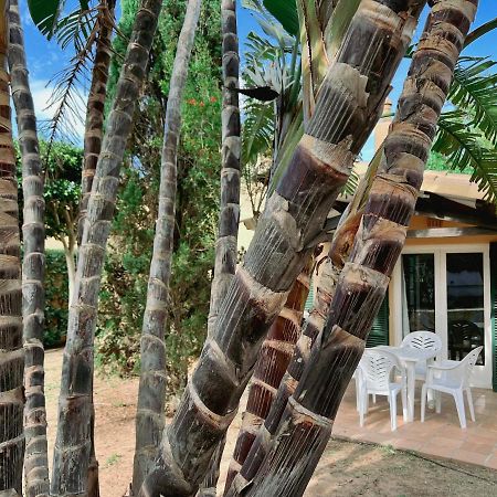 Bungalow Tropical Nº6 - Son Xoriguer Apartment Екстериор снимка
