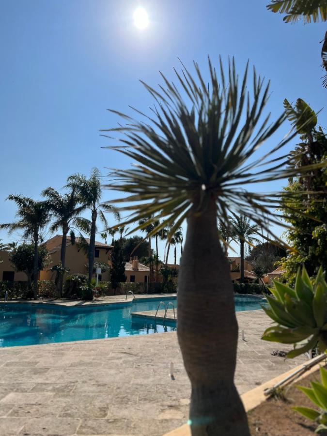 Bungalow Tropical Nº6 - Son Xoriguer Apartment Екстериор снимка