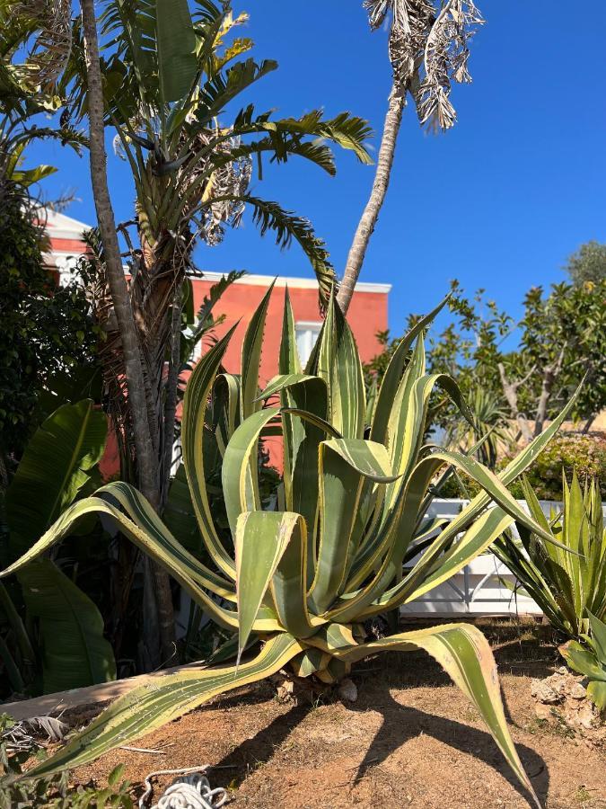 Bungalow Tropical Nº6 - Son Xoriguer Apartment Екстериор снимка